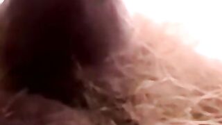 Hairy amateur offers his small cock to a chubby cock sucker
