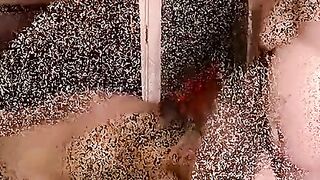 Young fat guy cums in black matures mouth after bareback