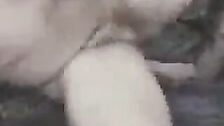 Wife Getting His Pussy Licked And Later Sucks Cock