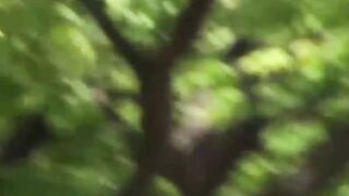 Beautiful Asian hotties pissing outdoor in kinky compilation