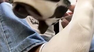 Asian buff Sasha jacking out some cum then rubbing the goo into his naked foot