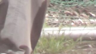 Piss fetish Japanese teenagers filmed by kinky hidden camera