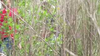 Big dick horny twinks share sloppy blowjobs in nature