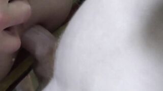 TwinkBreeding.com - Connor Taylor shoves cock into sexy Cam Casey's ass