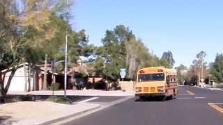 Tattooed twink Roxy Red rides hard bus drivers dick bareback