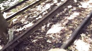 Public sex met inside the forest with a chubby blonde