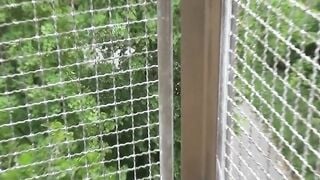 Half ebony chick WowLara has sex public