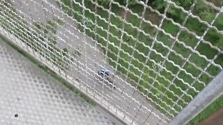 Half ebony chick WowLara has sex public