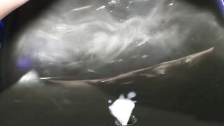 Insemination gang bang with a skinny woman inside overknees