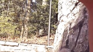 Sex seen inside a outdoor park with a Bae woman
