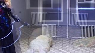Gf into rubber punish her slaves