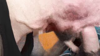 Curly bearded Arnold pierced deeply in the asss by two gigantic dicks