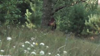 My Slutty Gf Walks inside the Park Nude and Jerks My Cock