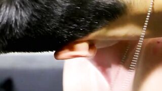 Juicy twink Steven Peters pounding Tyler Thayer bareback
