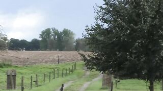 Farm sex with Cutie old MILF