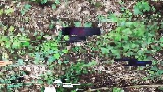 Secretly filming sex outdoors with a inked woman
