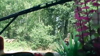Young hitchhiker nailed by old bro outdoors
