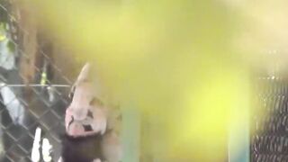 Restless Japanese hottie fingers pussy solo outdoors