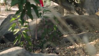 HETEROFLEXIBLE - Hiker Blows Buddys Venom From Wild Snake Bite Gets Rewarded With HARD ASSFUCKING