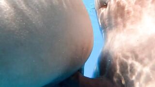 Big Titted Hispanic teens Alaska Rod banged inside the pool