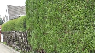 Dirty older lovers tries 3some
