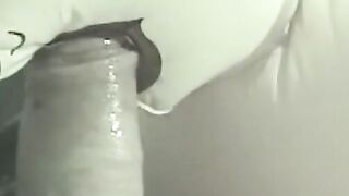 Naughty young gay stuffing his dick in sex doll on the car