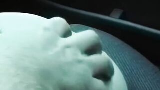 Nasty bitches blowing cock inside the vehicle