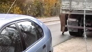 Nasty bitches blowing cock inside the vehicle