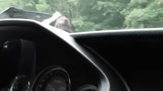 MILFs sharing cock outdoor