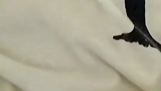 Blonde twink revealed his cock while blowing smoke