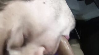 POV of a young Latino blowjob before fervent breeding