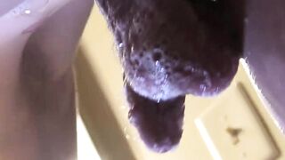 Straight dude Tony Thickdick shaves his cock and balls for us to witness