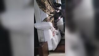 Back shots made her cum and moan