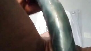 D the chocolate bimbos
