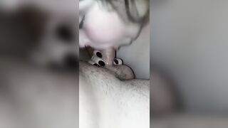 BBW Raven Bonez sucking off Cock like a winner