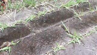 NipponPissTV.com - Filthy Japanese vixens pissing openly outdoors before scat play