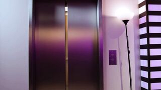 ADULT TIME - Sexsual Exhibitionist Liz Jordan Seduces Stranger Seth Gamble For babe Sex Into Elevator