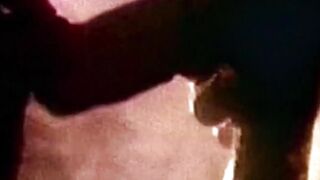 Retro hottie Michel Zen experiences a steamy cock sucking session