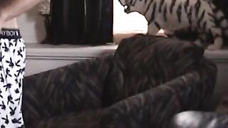Str8Seduction.com - Paulie strips down to his playboy boxers and flops his cock out