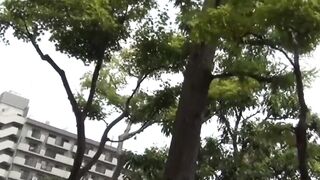 NipponPissTV.com - Hairy Oriental cunts go wild on hidden cam footage outdoors