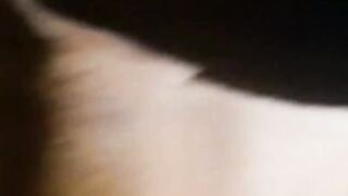 RetroDudes.com - Vintage hairy homos suck cock and ass fuck with wild abandon