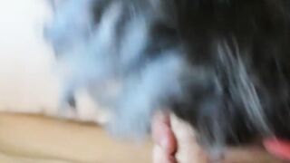 Hunter Reed and Jacob Grant bareback fuck and cum in mouth