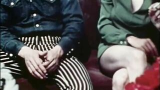 The Nurses (1971, US, Clair Dia, short scene, DVD rip)