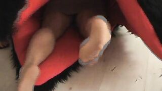 Tomiko vore three
