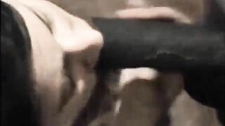 Amateur Beauty fiance interracial