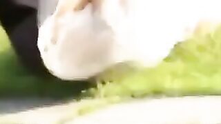 so nice japanesse
