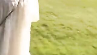 so nice japanesse