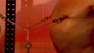 MuscleJockBound.com - Muscular men helplessly bound together, their bulging muscles g