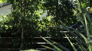 NextDoorXXX.com - Muscular jock barebacks his hot neighbor next door