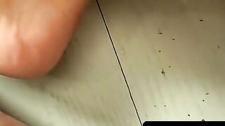 ToesXXX.com - Sexy Jessie has suckable toes and lickable soles in foot fetish